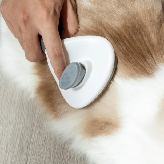 Cepillo para Mascotas Autolimpiante